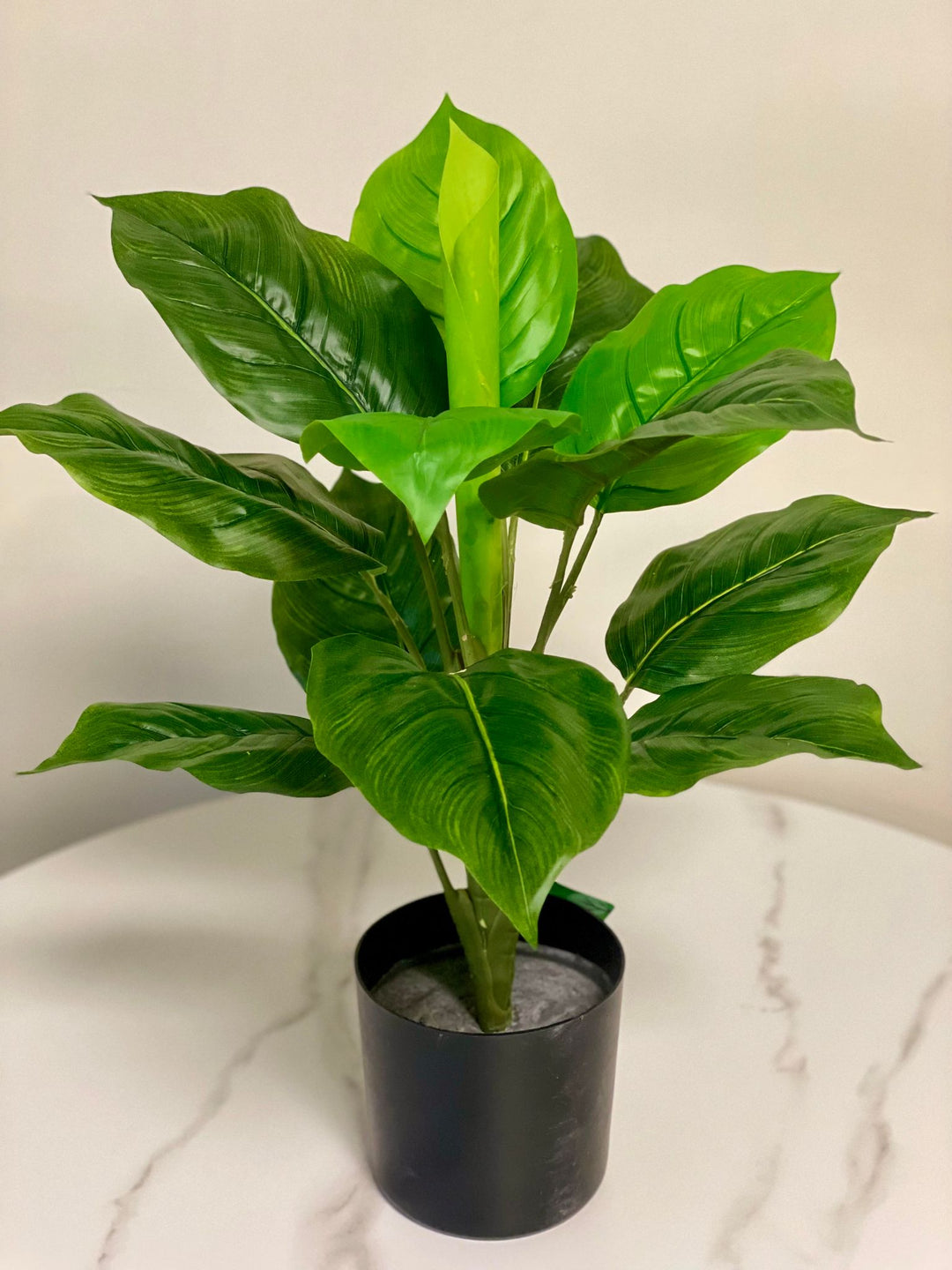 A potted artificial plant with glossy green leaves, featuring a natural appearance, set on a white marble surface.