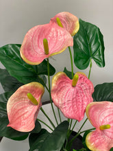 Charger l&#39;image dans la galerie, Artificial plant - 21&quot; (pink painter&#39;s pallete flower)
