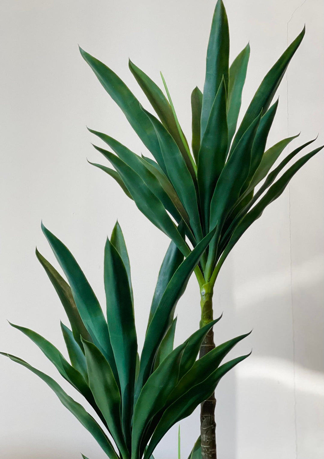 Close-up of a tall artificial green Dracaena plant with long, pointed leaves arranged in a rosette, placed against a plain light-colored background
