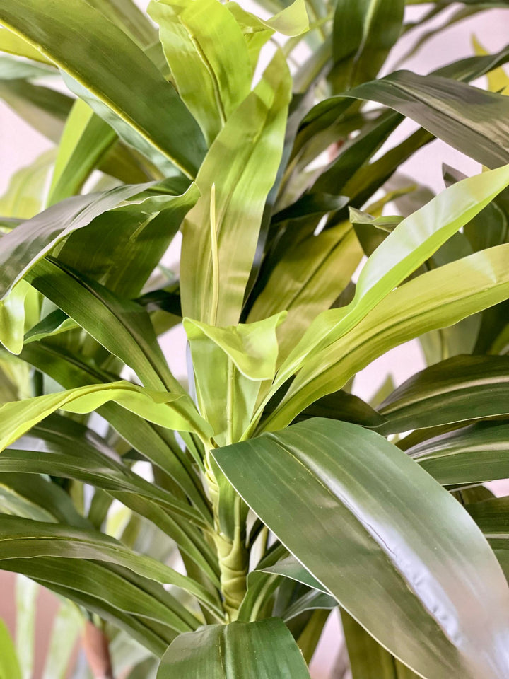 Close-up view of vibrant green leaves showcasing the intricate textures and layers of a tropical indoor plant, bringing a fresh and natural feel to the surroundings.