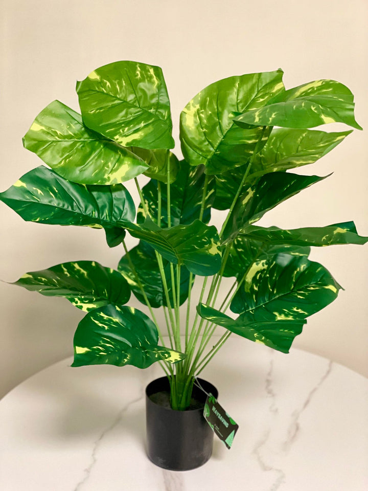 Artificial plant with large, glossy green leaves featuring light yellow variegation, displayed in a simple black pot on a white table. The plant has a healthy, tropical appearance.