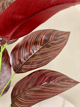 Charger l&#39;image dans la galerie, Artificial plant - 30&quot; (Syngonium plant)
