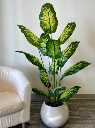 A tall, vibrant green plant with large variegated leaves placed in a sleek silver pot next to a white armchair.