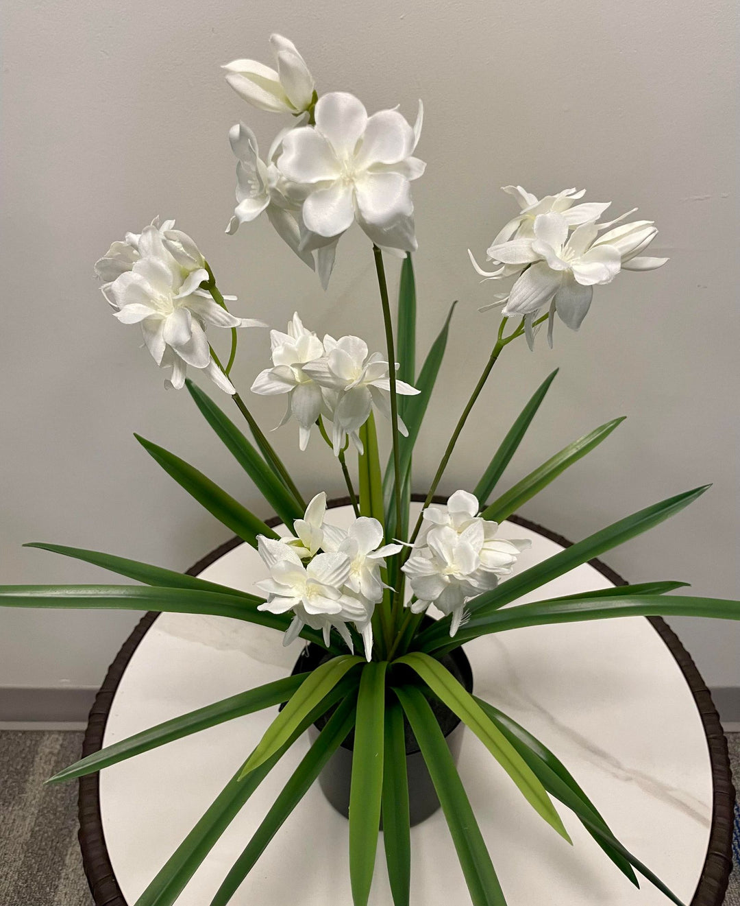 A white orchid arrangement with delicate, soft petals in bloom, placed in a black pot with long, slender green leaves extending outward.
