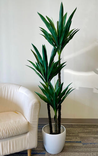 a tall indoor plant with lush green leaves, arranged in a white planter next to a beige armchair. The sleek, elongated leaves add a contemporary and elegant touch to the decor, complementing the neutral color palette of the room. The setup creates a minimal yet refreshing ambiance, ideal for both residential and office spaces.