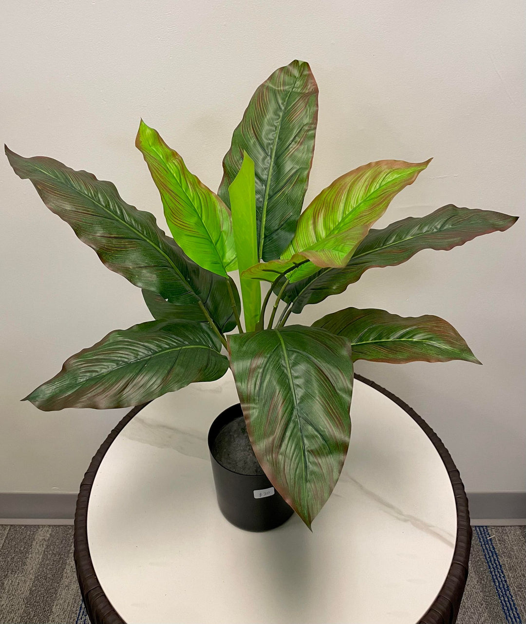A potted artificial plant with tall, elongated green leaves that have a reddish tint along the edges, arranged neatly in a black pot on a marble surface.