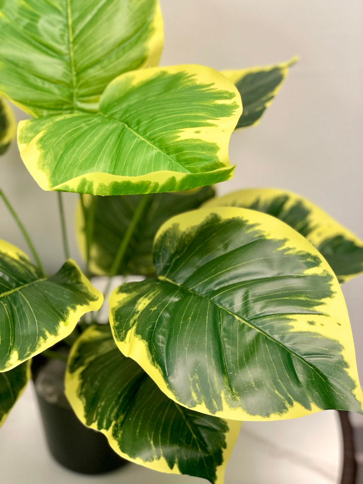 Close-up of vibrant yellow and green artificial leaves, showcasing realistic texture and color contrast, perfect for indoor décor.