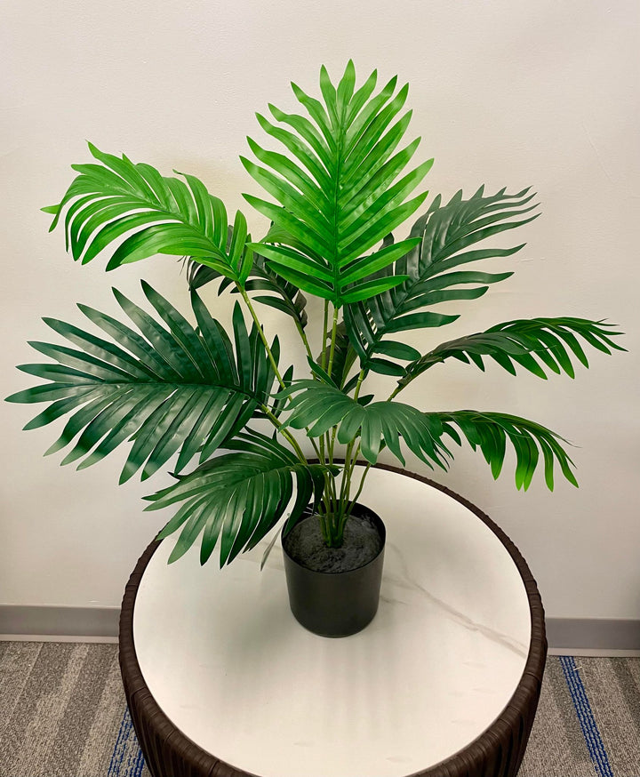 A vibrant green potted plant with large, fan-like leaves arranged symmetrically, placed on a small round table against a neutral wall.