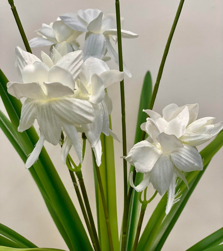 Close-up of white orchid flowers, showcasing their delicate fabric petals with soft green stems and leaves in the background.