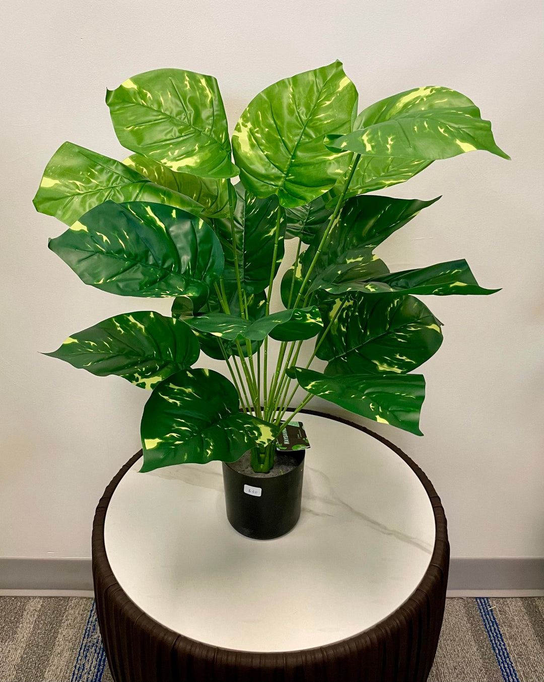 Artificial plant with large, glossy green leaves featuring light yellow variegation, displayed in a simple black pot on a white table. The plant has a healthy, tropical appearance.