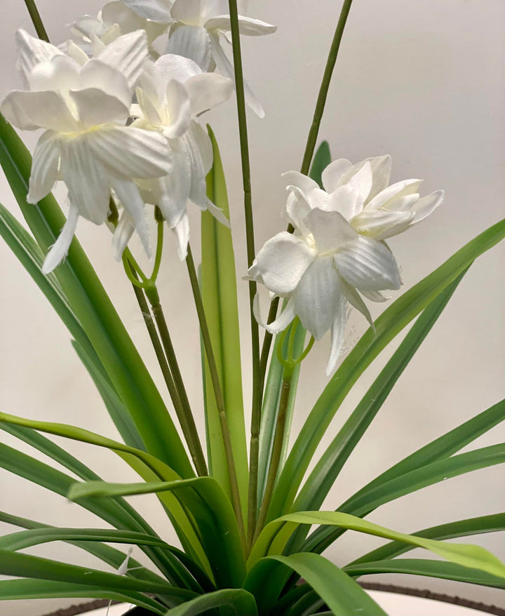 Close-up of white orchid flowers, showcasing their delicate fabric petals with soft green stems and leaves in the background.