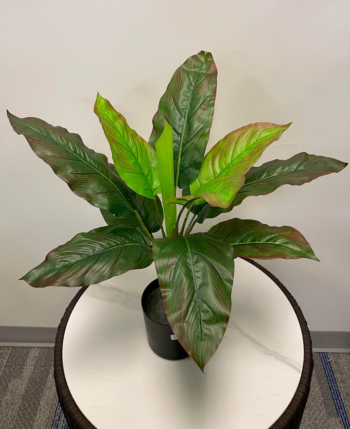 A potted artificial plant with tall, elongated green leaves that have a reddish tint along the edges, arranged neatly in a black pot on a marble surface.