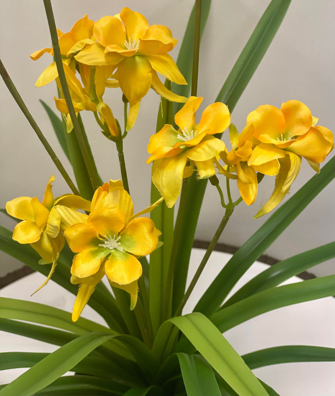 A yellow orchid arrangement with delicate, soft petals in bloom, placed in a black pot with long, slender green leaves extending outward.