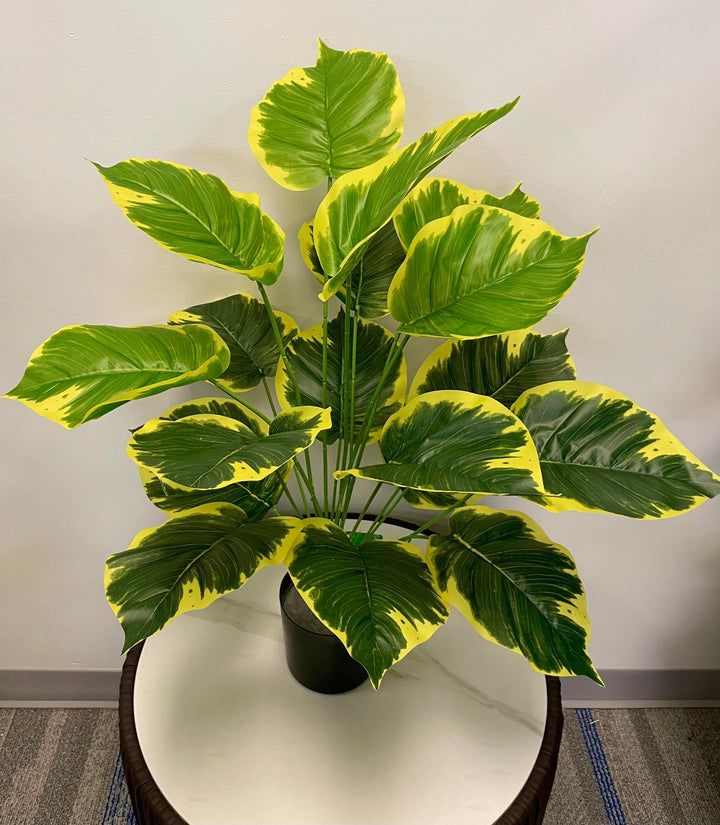 Dill plant. Vibrant yellow and green artificial leaves arrangement in a black pot, ideal for brightening indoor spaces.