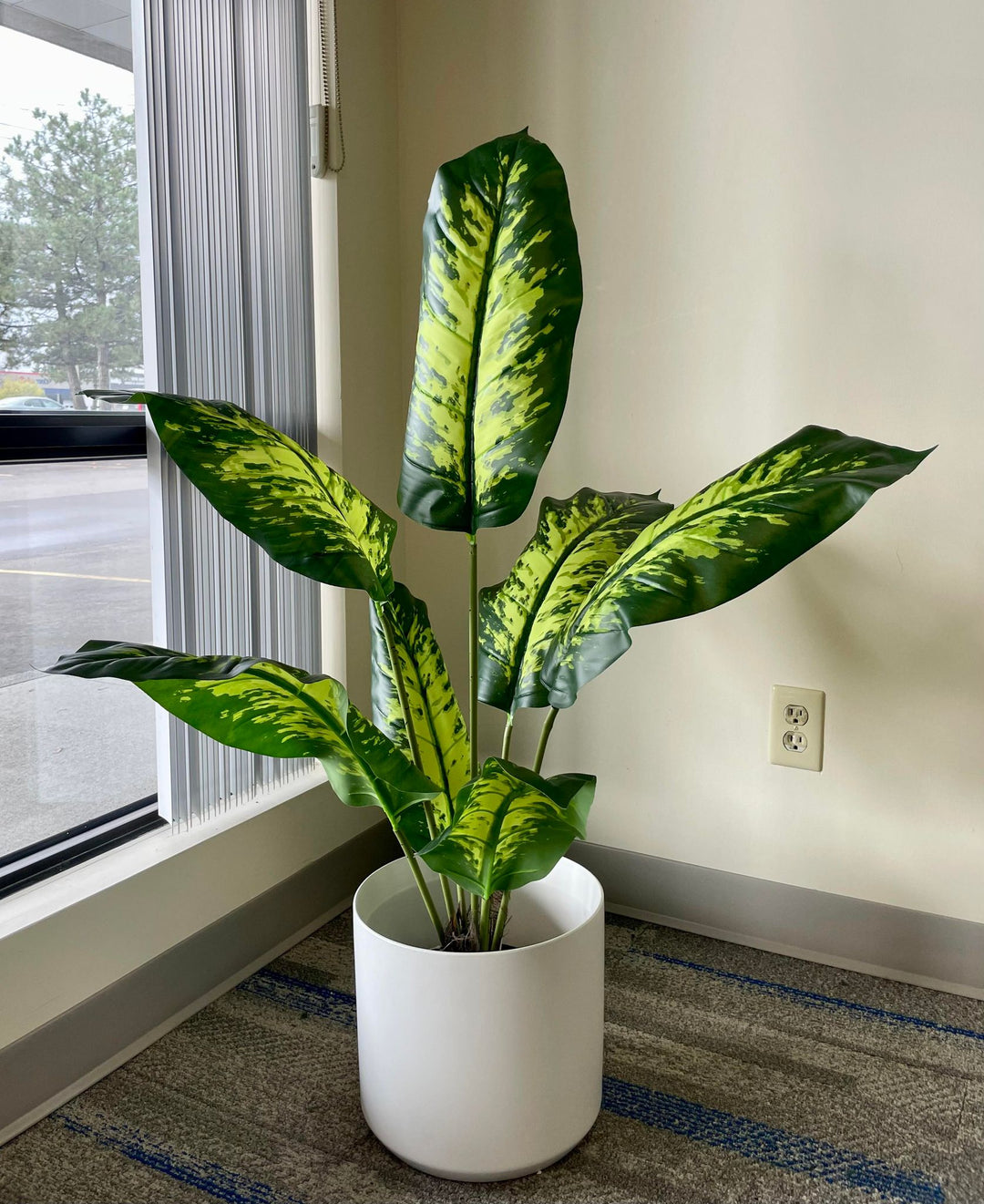 The image shows a potted plant with large, vibrant green leaves with dark green patterns. The plant is placed in a gray ribbed pot, positioned next to a light-colored armchair on a carpeted floor. The setting gives off a modern and calming vibe, perfect for indoor decor.