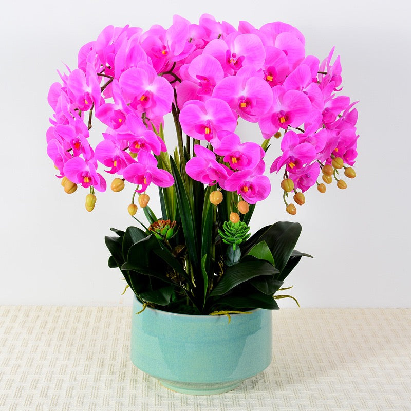 A vibrant artificial orchid arrangement in a bright fuchsia color, displayed in a modern white planter. Frequently asked question: How do I maintain artificial orchids to keep them looking fresh and dust-free?