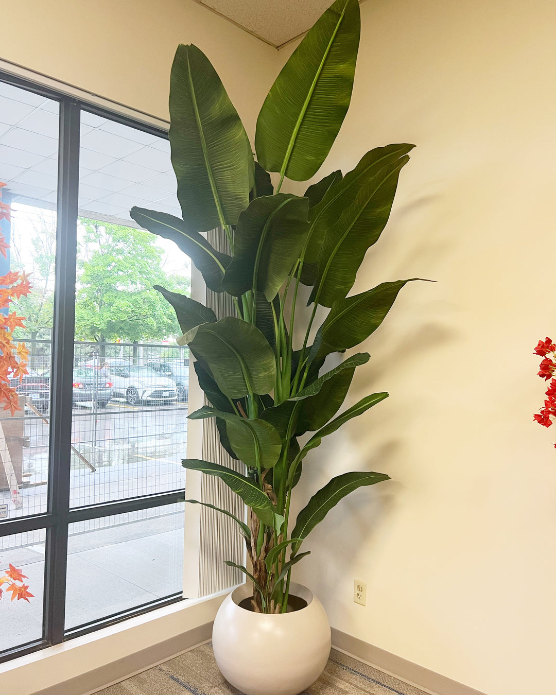 An artificial bird of paradise plant with large, glossy green leaves is placed in a round, white planter in the corner of a room near a large window. The plant’s tall and broad leaves create a lush and vibrant appearance, complementing the neutral-toned interior space. The view outside the window shows a parking lot and some trees.