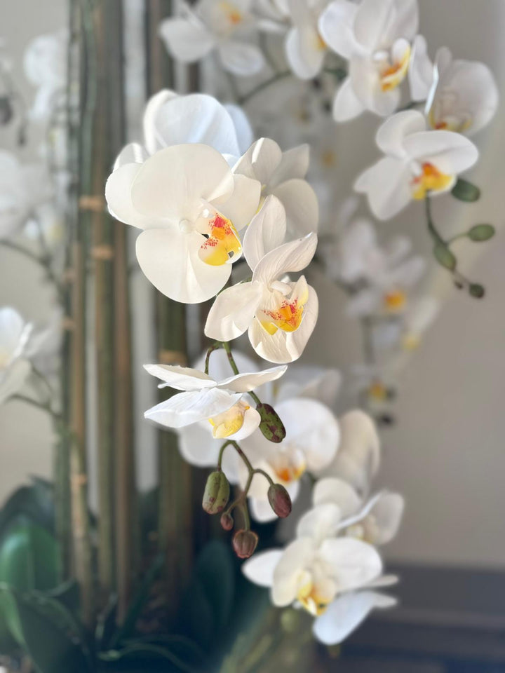 Close-up of beautiful realistic White orchid flowers with yellow centers in a decorative vase.
