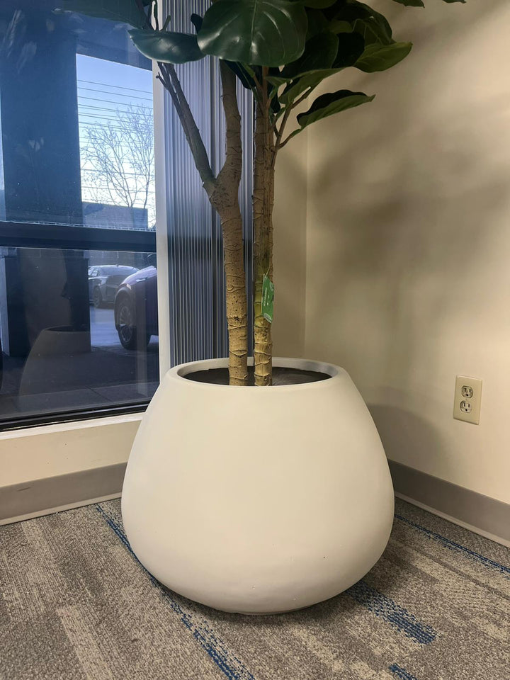 Elegant Cement Planters (24"W x 18"H)