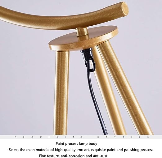 Close-up of a gold-painted floor lamp frame, showcasing its smooth iron art structure and polished finish. The lamp's sturdy build features anti-corrosion and anti-rust properties, emphasizing the high-quality craftsmanship.