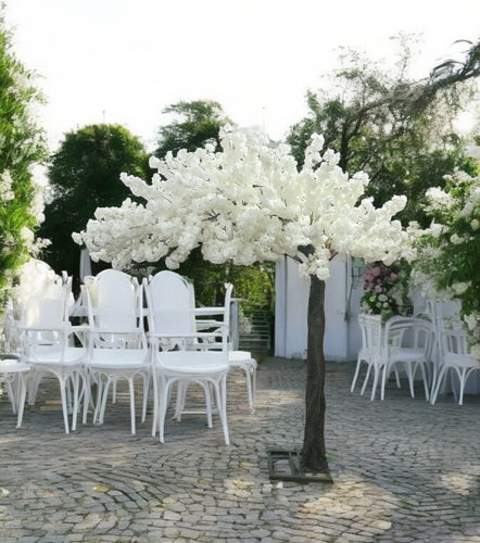 10ft artificial cherry blossom rental tree in a pristine white color, ideal for creating an elegant and sophisticated atmosphere at weddings, corporate events, or upscale decor settings. The tree features lifelike blossoms and a durable structure, making it perfect for transforming any space into a serene and captivating environment