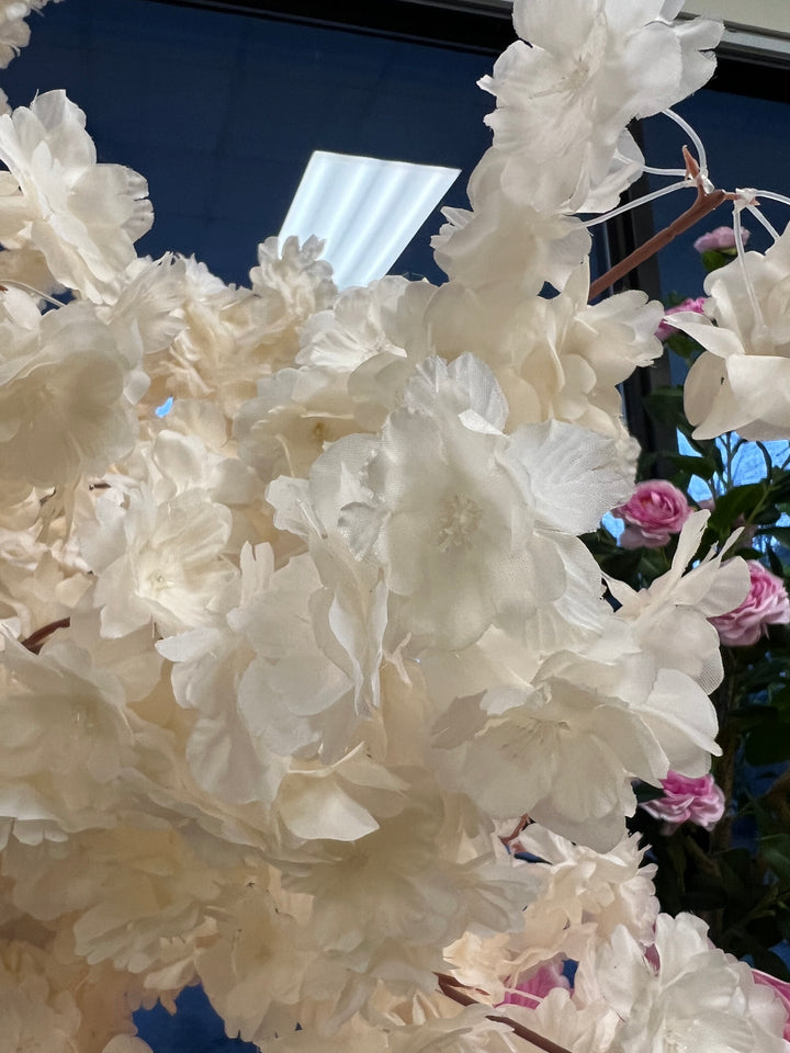 Close-up of white flowers with a blurred background