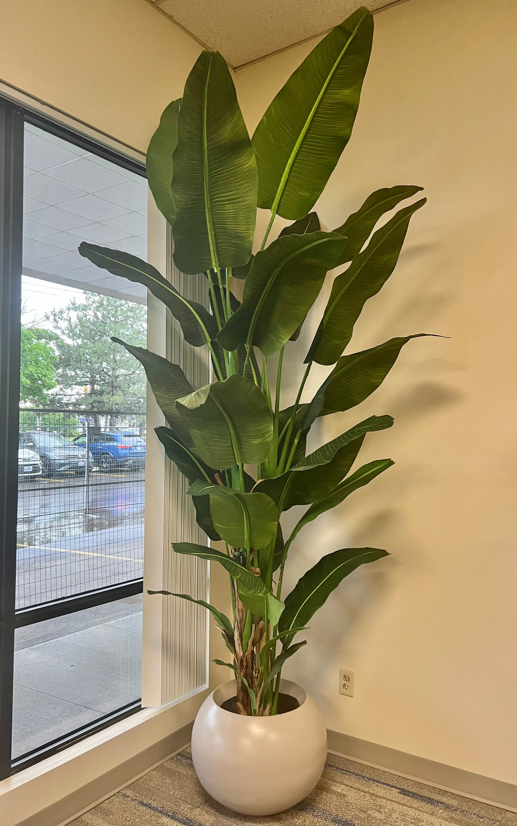 An artificial bird of paradise plant with large, glossy green leaves is placed in a round, white planter in the corner of a room near a large window. The plant’s tall and broad leaves create a lush and vibrant appearance, complementing the neutral-toned interior space. The view outside the window shows a parking lot and some trees.