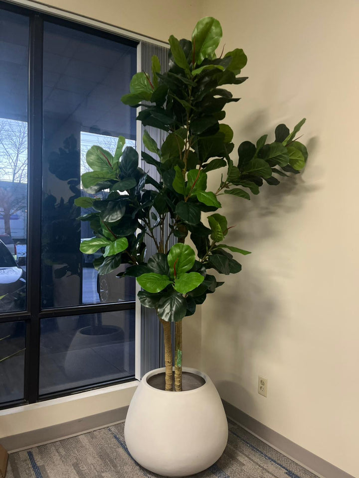 Elegant Cement Planters (24"W x 18"H)