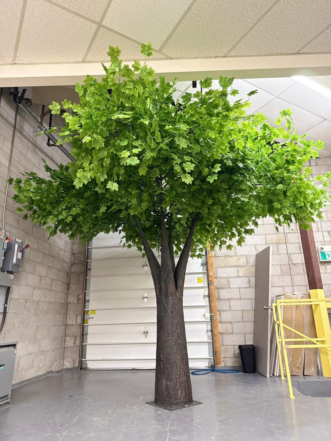 12ft Artificial Canadian Green Maple Tree Rental