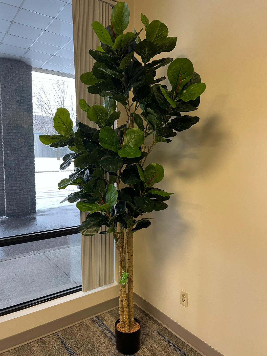 A fiddle-leaf fig tree is placed in a modern pot by a large window, with a snowy outdoor scene visible through the glass. The tree adds a touch of greenery to the indoor space, contrasting with the wintry view outside.