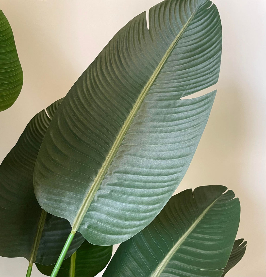 Close-up of vibrant green leaves of artificial bird of paradise plant.