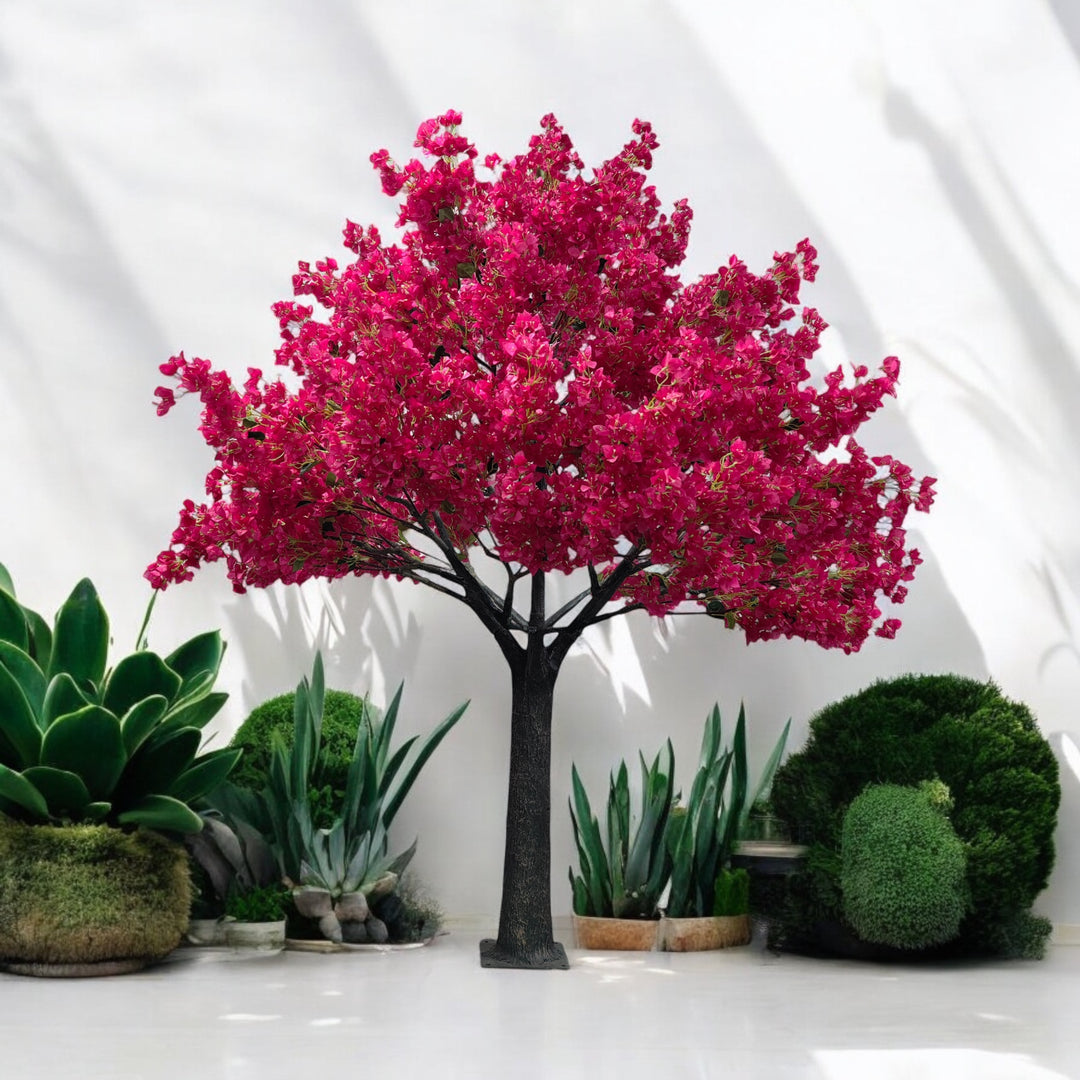 Bougainvillea flower tree  set up in a GTA studio for photoshoot.
