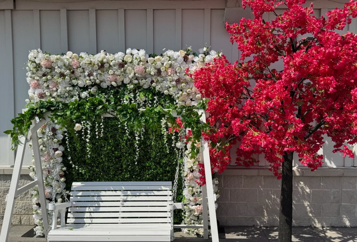 Bougainvillea flower tree  adding a touch of beauty and nature at Woodbine Racetrack Etobicoke