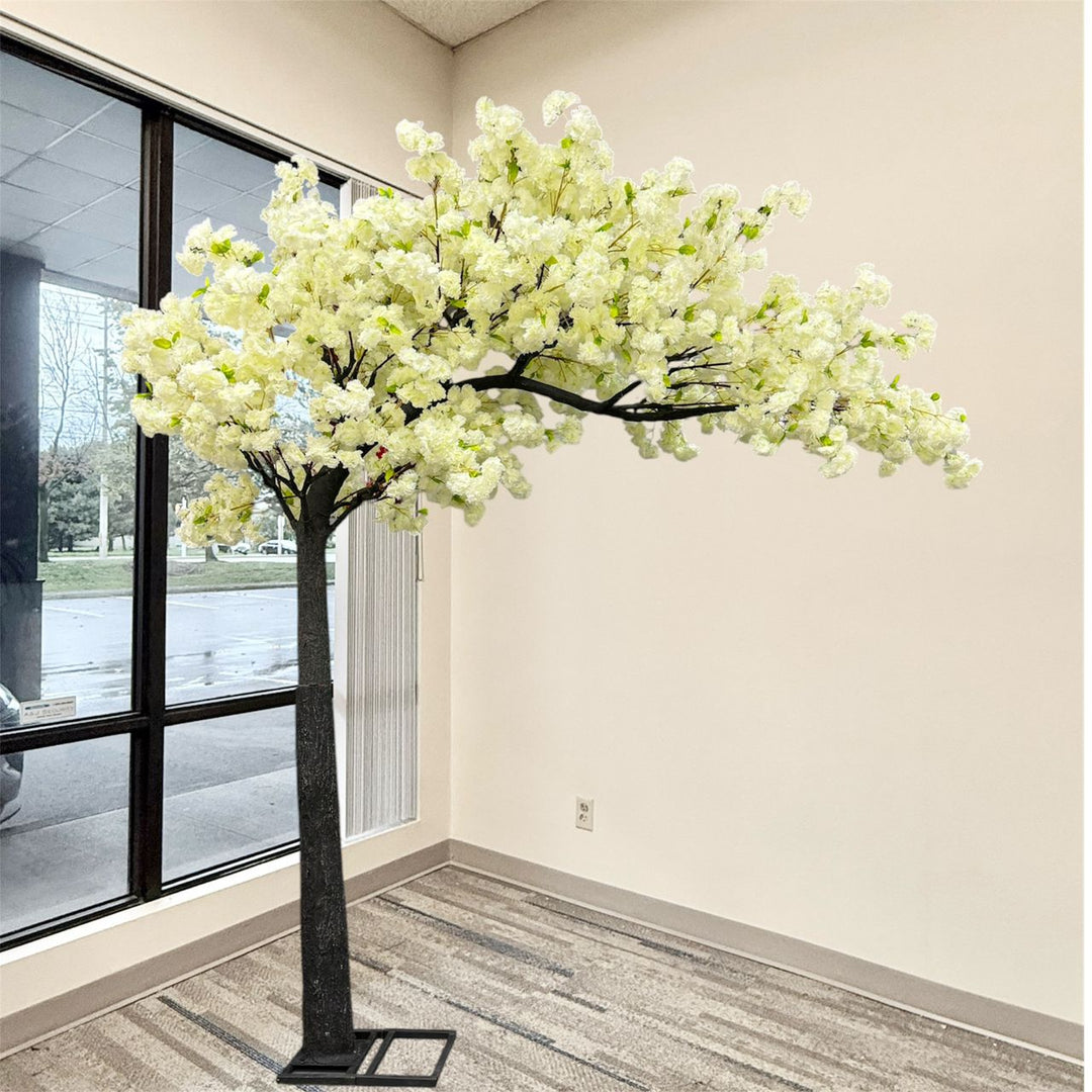 An artificial arch cherry blossom tree with dense  cream white flowers on a black stand, placed indoors in a room with beige walls, a window, and gray wood-look flooring.