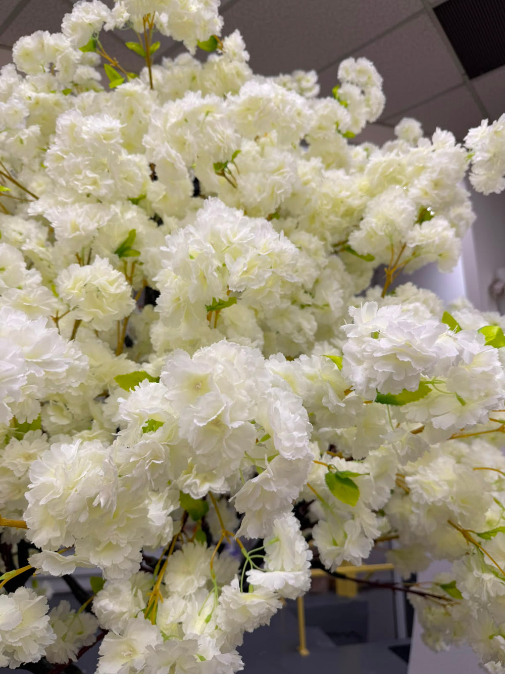 Cream White artificial flowering tree branch with dense clusters of ruffled blossoms and small green leaves on brown stems, photographed indoors against a ceiling and wall background.