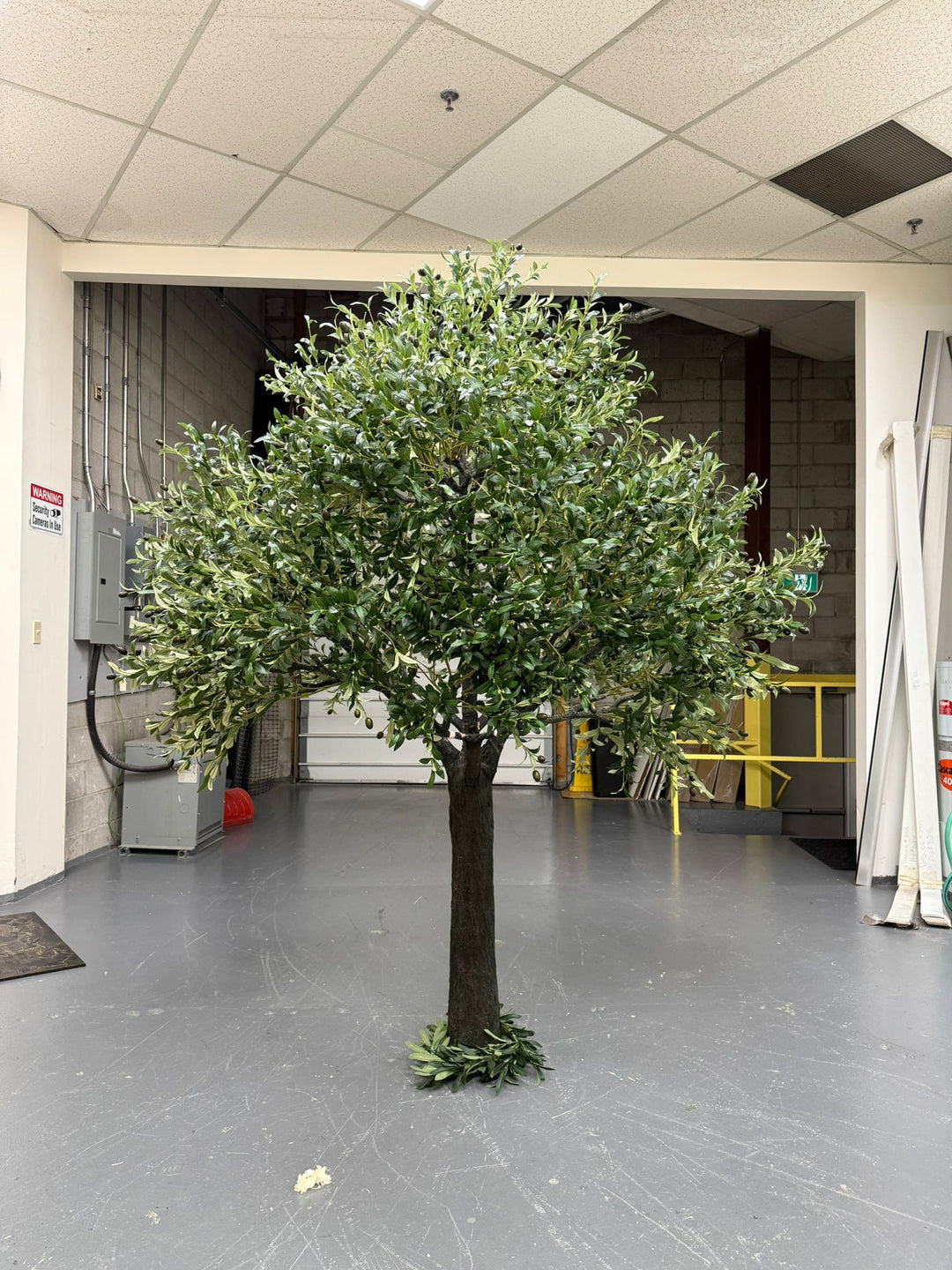 Artificial tree in a room with gray flooring and white walls
