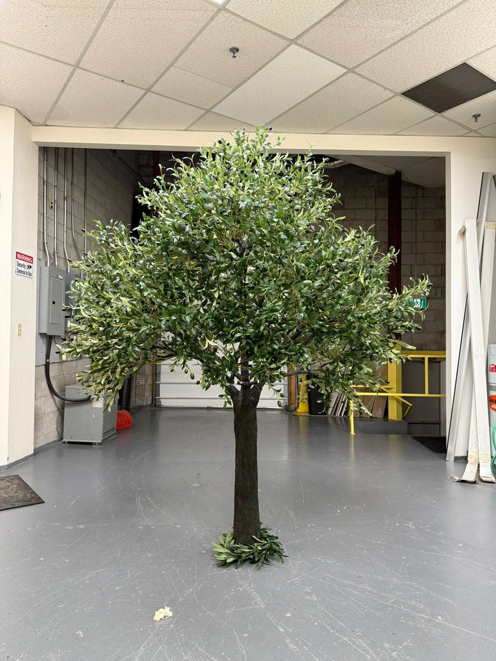 Artificial tree in a room with gray flooring and white walls