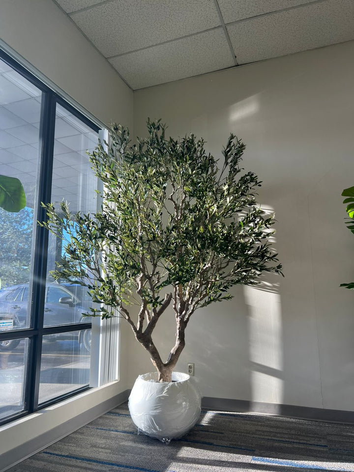 8ft artificial olive tree with realistic olives and twisted trunk