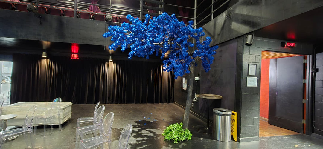 Modern interior with blue arched cherry blossom  decorative tree, clear chairs, and a black wall.