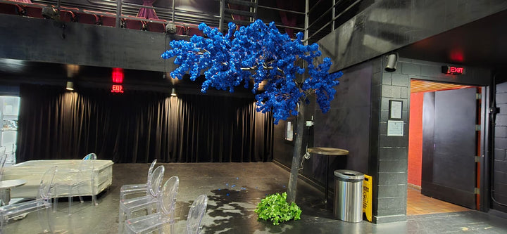 Modern interior with blue arched cherry blossom  decorative tree, clear chairs, and a black wall.