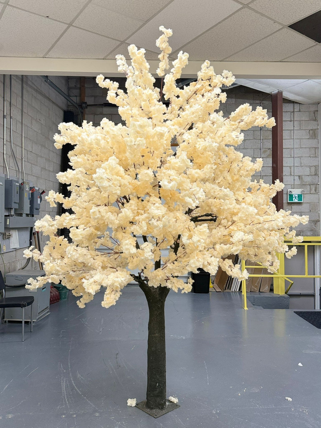Decorative artificial off white cherry blossom tree in an indoor setting with a plain background