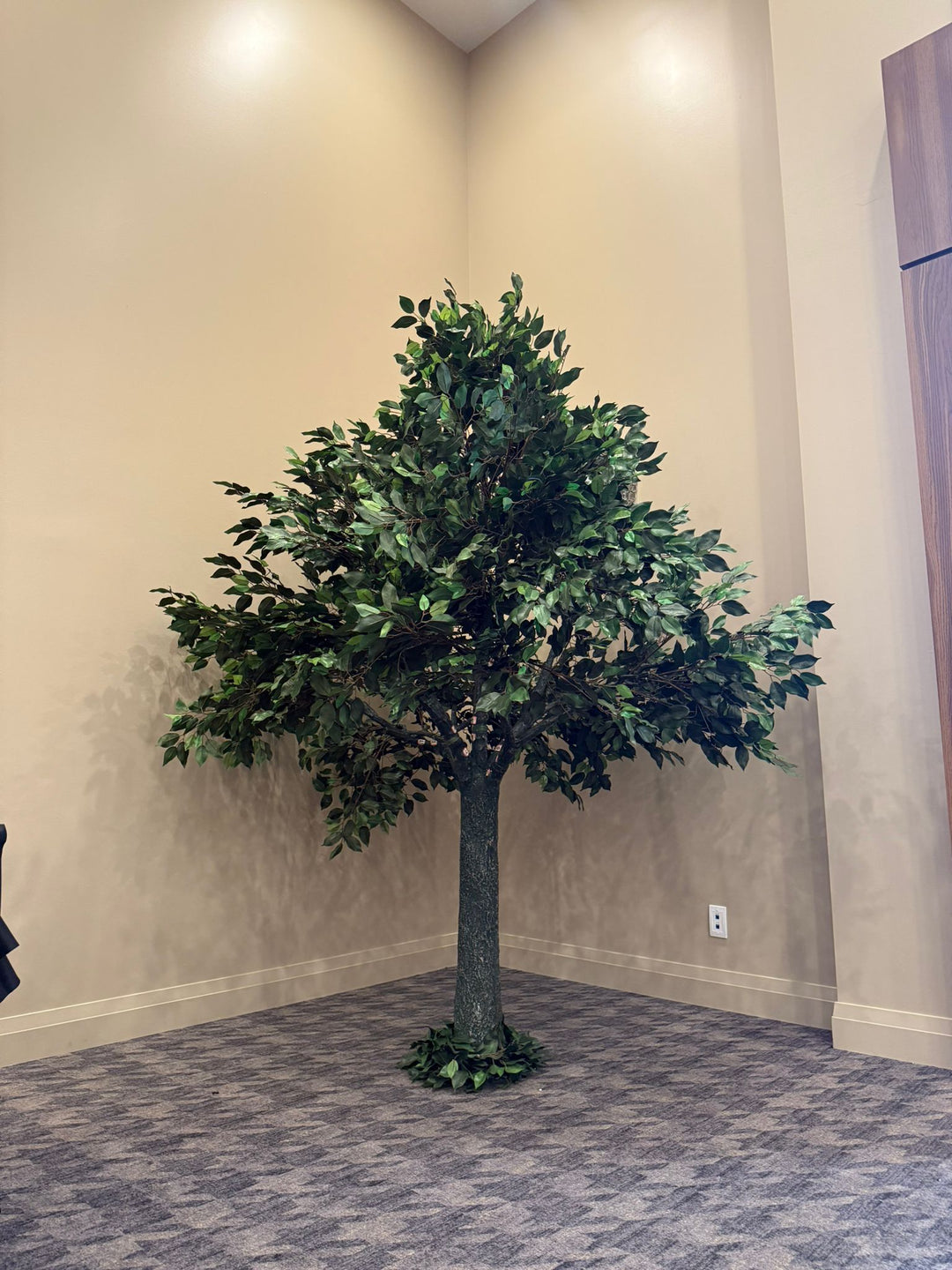 Artificial straight trunk ficus tree set up at the corner of an event venue in Toronto.