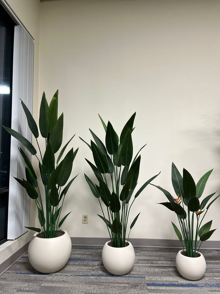 Three ivory round planters with a smooth matte finish, each holding tall artificial plants, including bird of paradise and leafy green plants, arranged indoors against a neutral background. Are these planters suitable for both indoor and outdoor use?