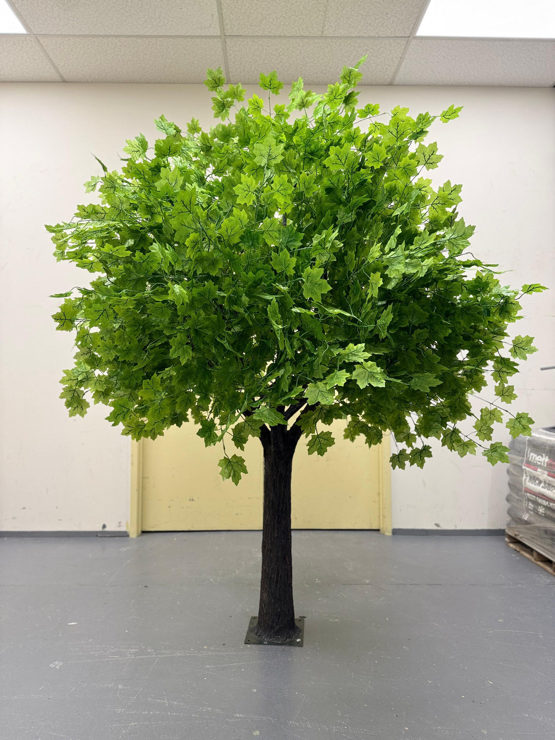 Artificial green maple tree with green leaves in a room setting.