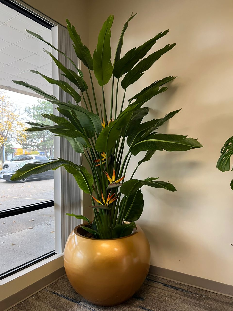 Statement indoor bird of paradise plant with realistic foliage set in a gold decorative pot.