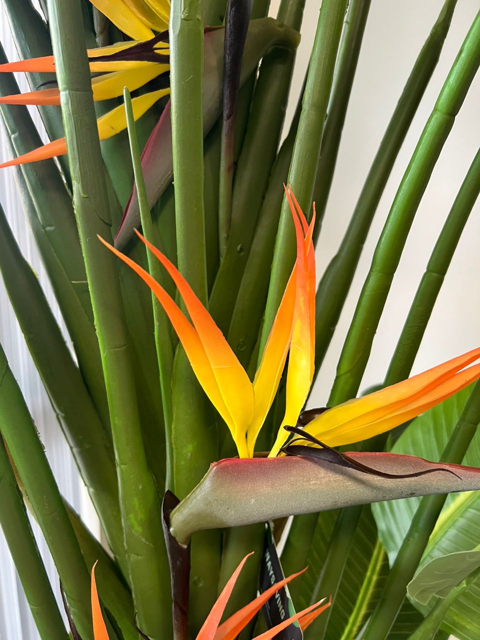 Close-up view of artificial bird of paradise plant with orange and yellow flowers and green leaves.