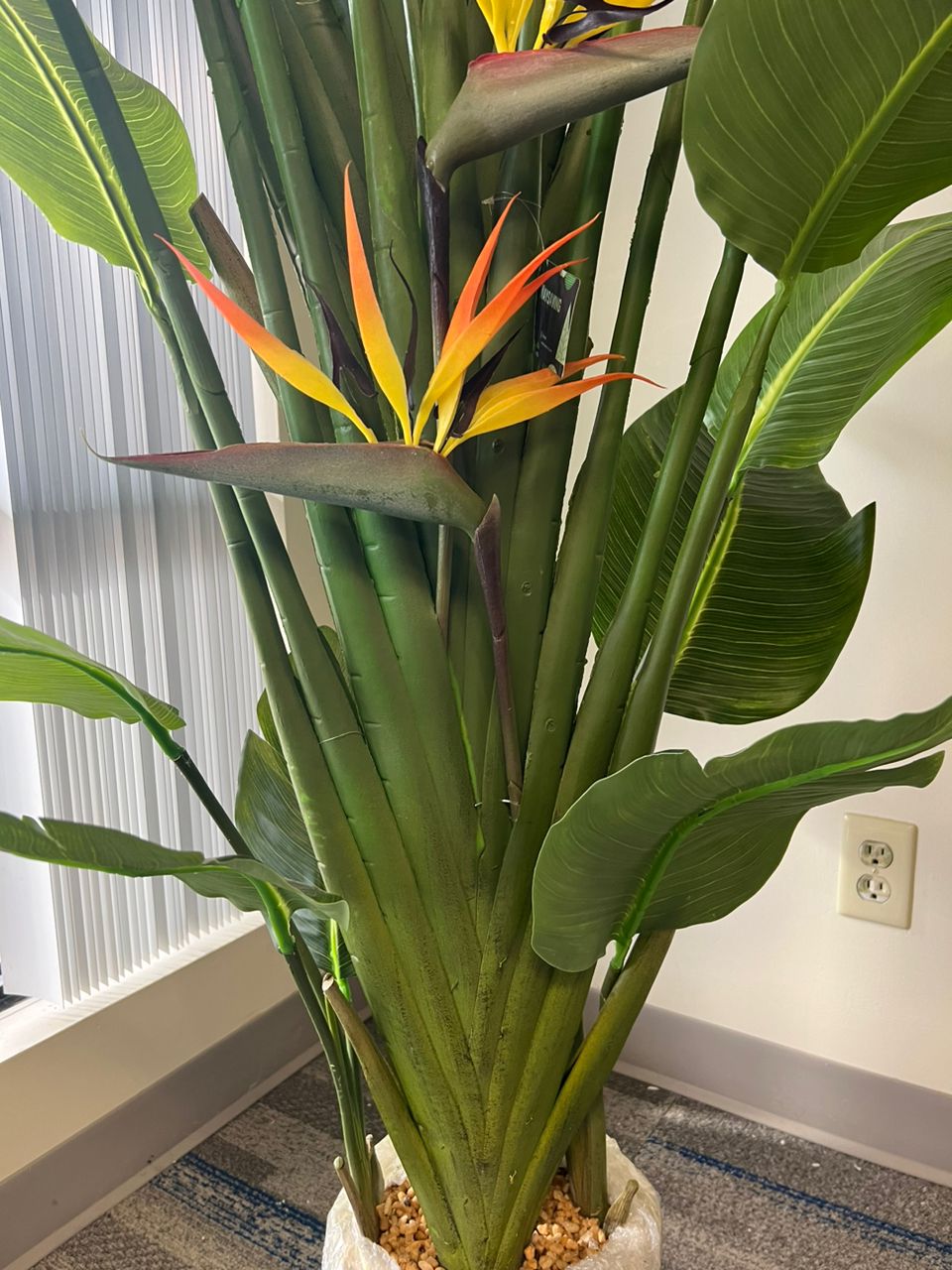 Close-up of artificial bird of paradise plant showcasing it&