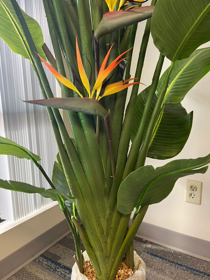 Close-up of artificial bird of paradise plant showcasing it&