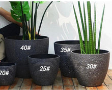 Load image into Gallery viewer, A collection of five textured black planters of varying sizes, labeled with numbers: 40#, 35#, 30#, 25#, and 20#. Each planter contains a different tall, leafy plant, displayed on a wooden deck against a white wall.
