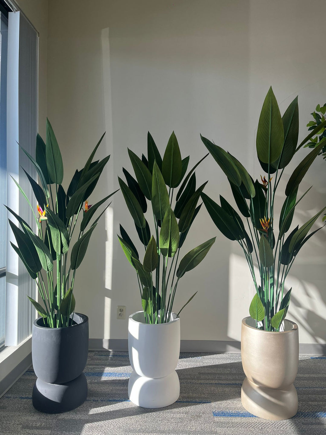 Set of three cylindrical planters in black, white, and gold finishes, each holding an artificial bird of paradise plant with lush green leaves and vibrant flowers, placed indoors on a carpeted floor in natural light. Are these planters stackable for easy storage?